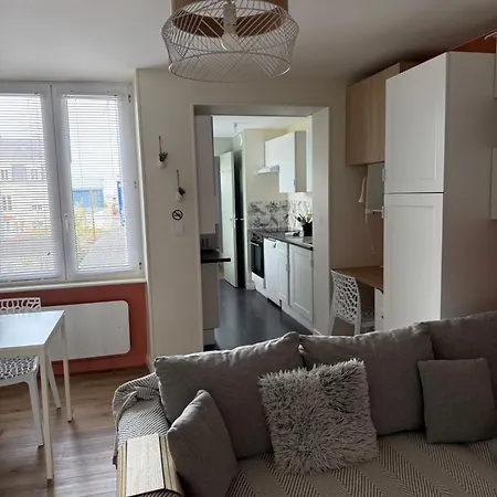 Cosy Et Raffine Apartment