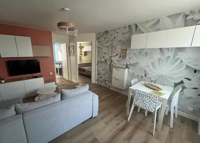 Cosy Et Raffine Apartment *