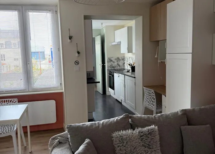 Cosy Et Raffine Apartment